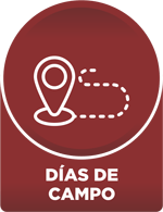 Días de campo
