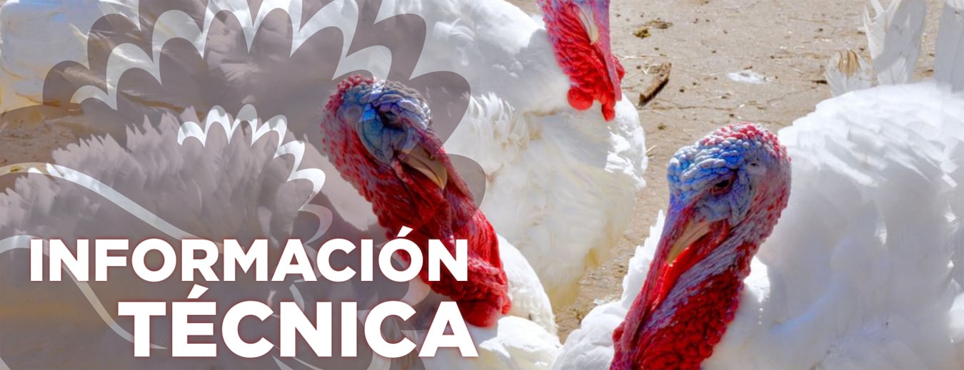 Información Tecnica