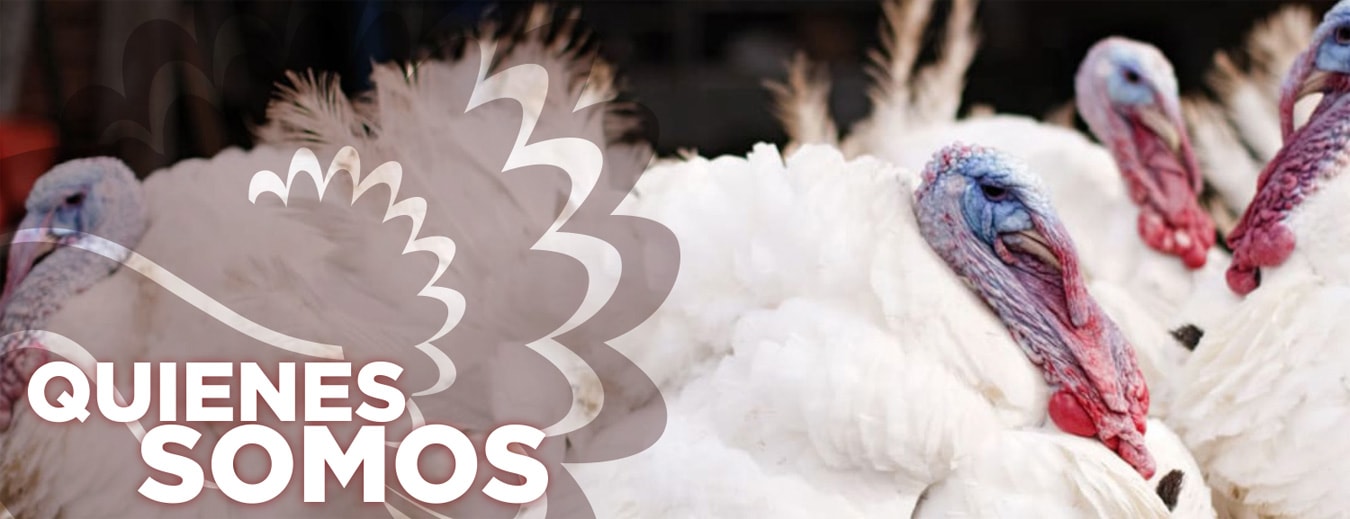 Quienes somos